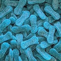 LANGUES BLEUES ACIDES 2KG
